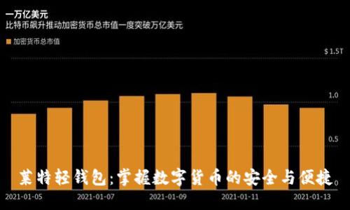 莱特轻钱包：掌握数字货币的安全与便捷