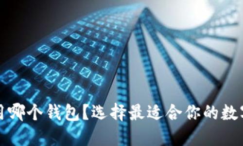 火币提币用哪个钱包？选择最适合你的数字钱包指南