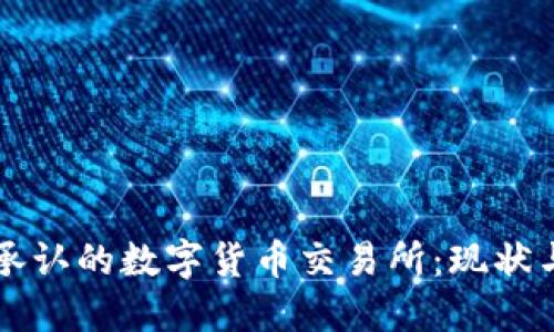 中国承认的数字货币交易所：现状与未来
