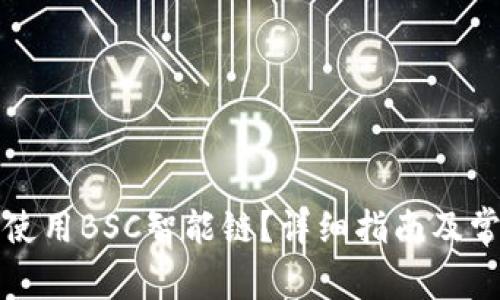 TP钱包如何使用BSC智能链？详细指南及常见问题解答