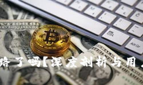  GoPay跑路了吗？深度剖析与用户保护指南