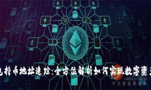 : TP钱包持币地址追踪：全方位解析如何实现数字资产透明度