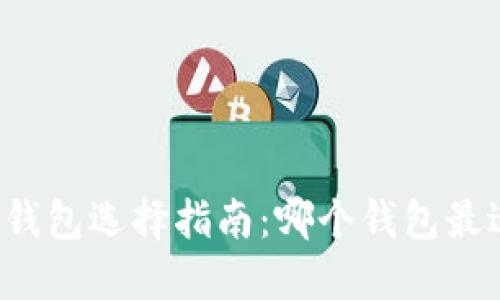 比特币钱包选择指南：哪个钱包最适合你？