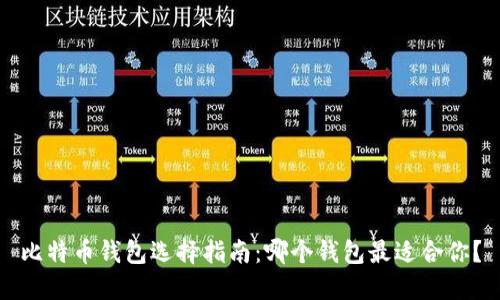 比特币钱包选择指南：哪个钱包最适合你？