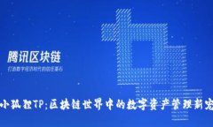 小狐狸TP：区块链世界中的